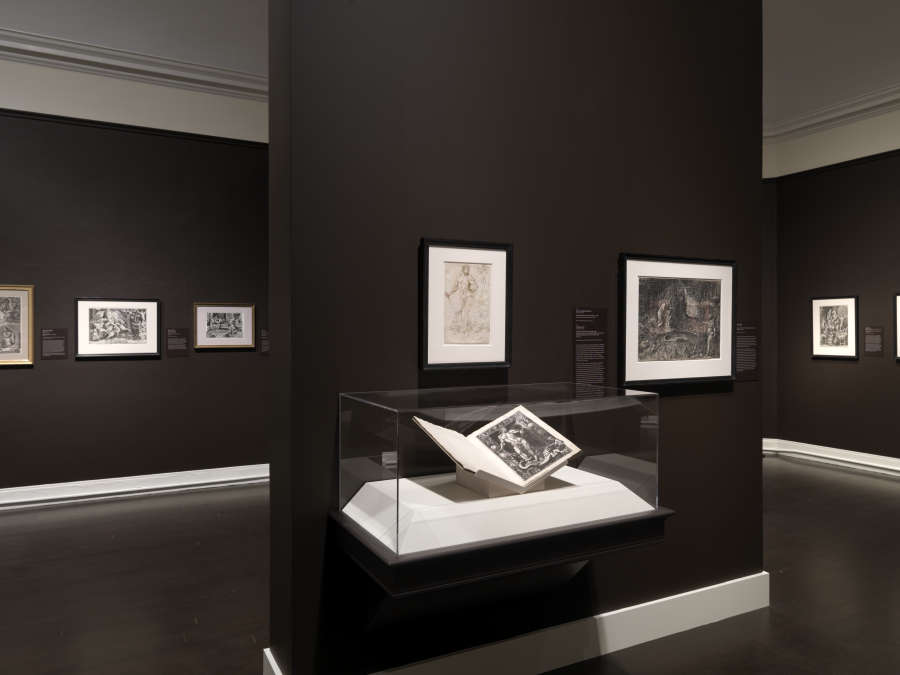 view exhibition image