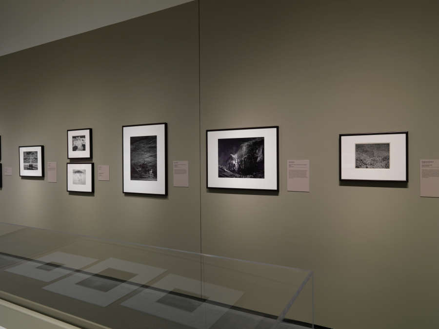 view exhibition image