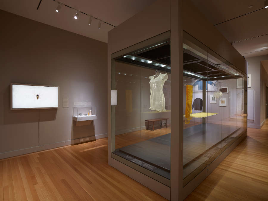 view exhibition image