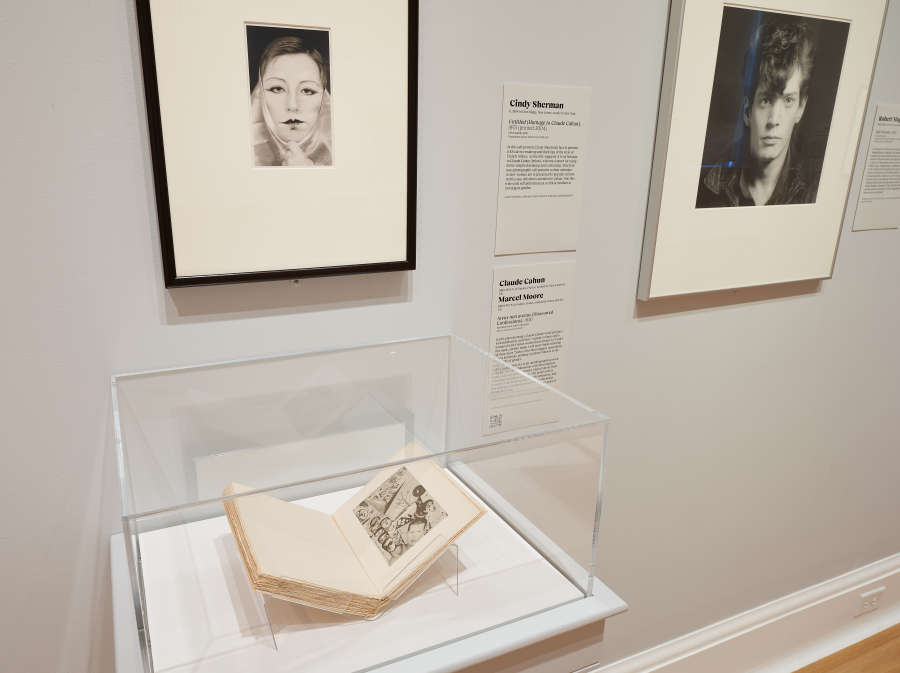 view exhibition image
