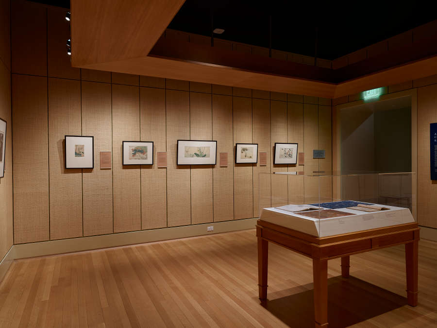 view exhibition image