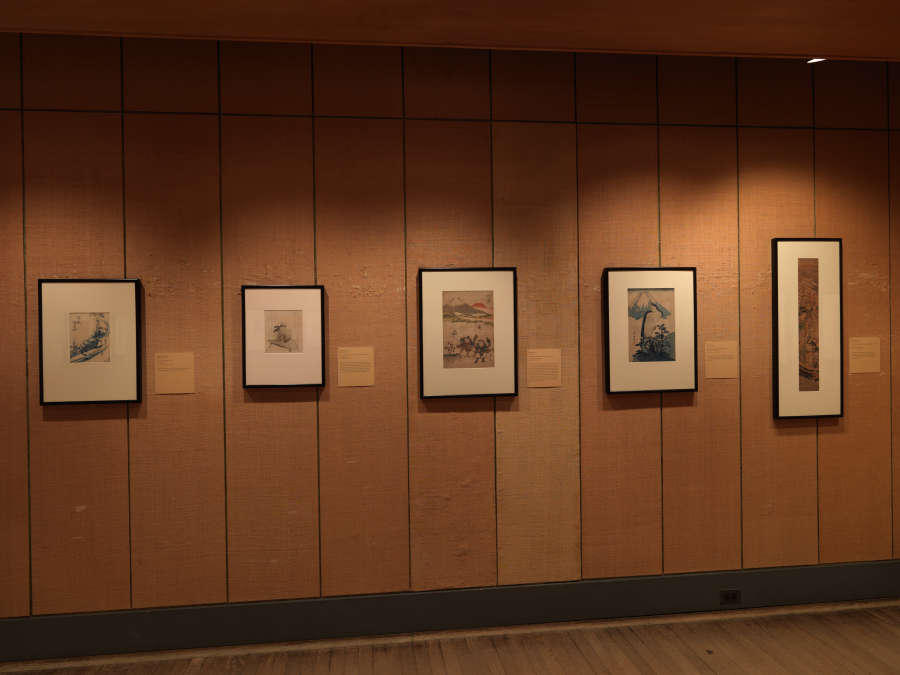 view exhibition image