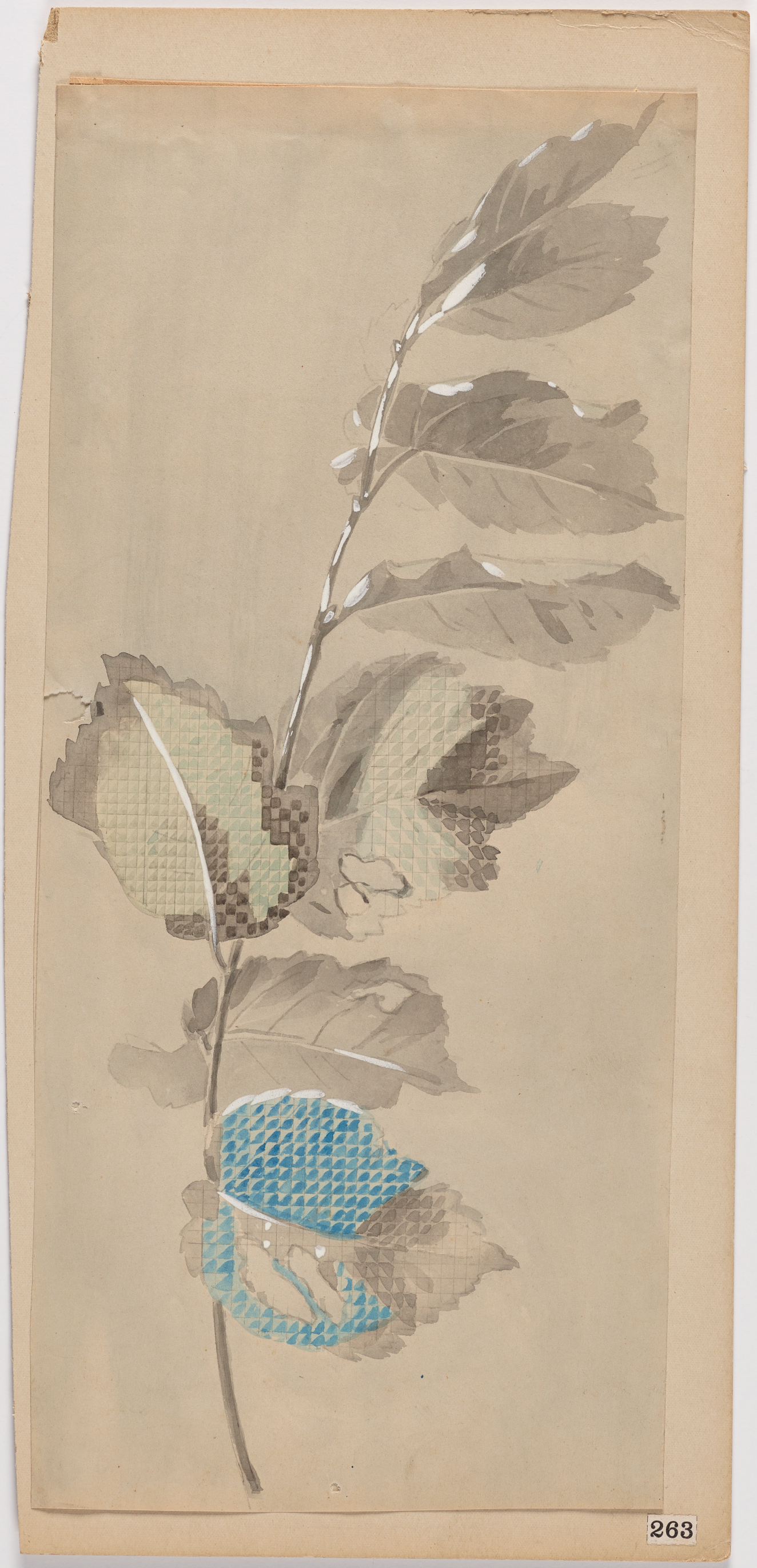Wallpaper design depicting a branch with various leaves with textured patterns in washy gray, blue, and green tones.