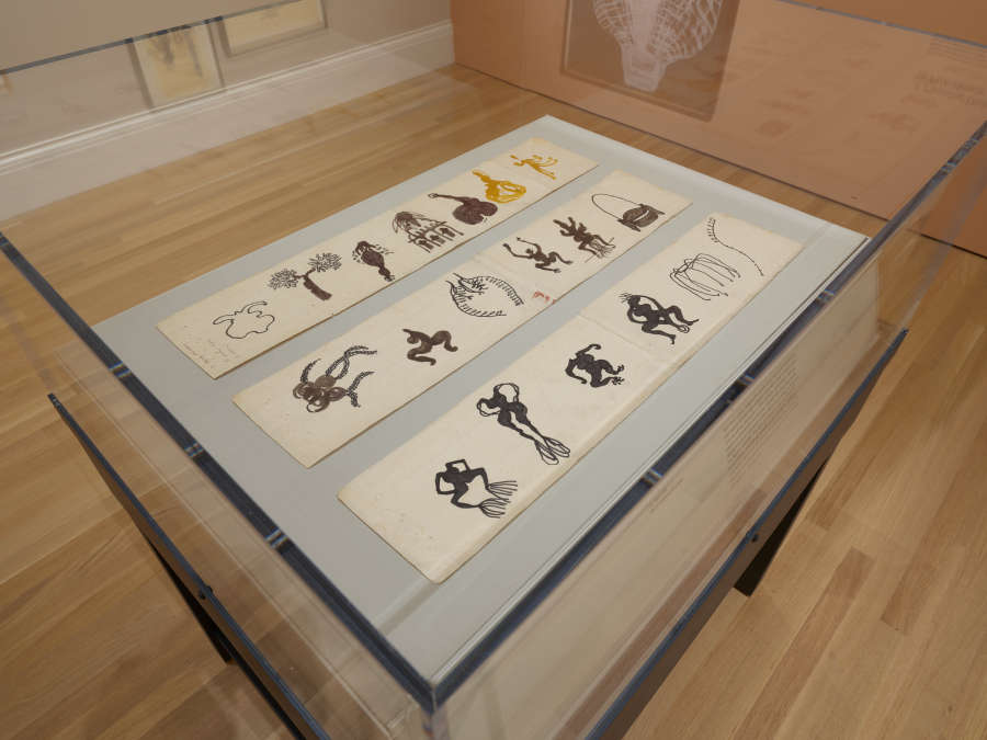 view exhibition image