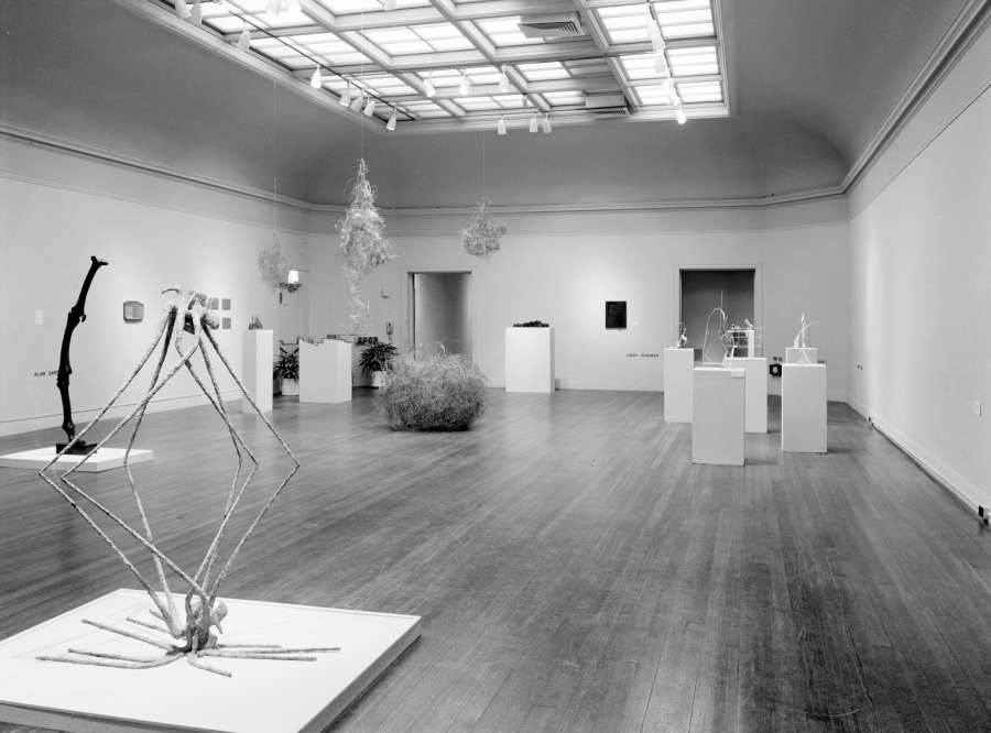 view exhibition image