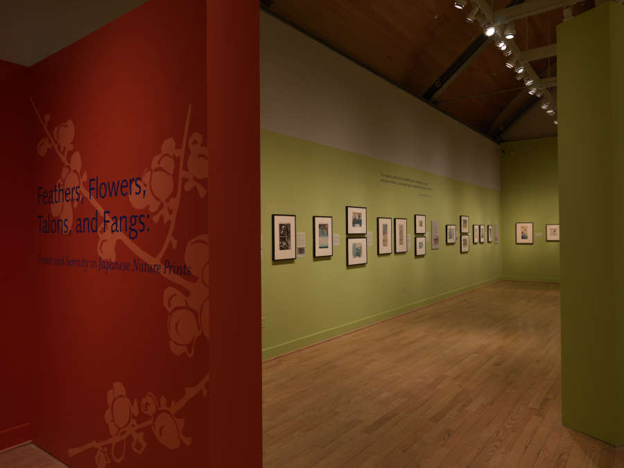 view exhibition image