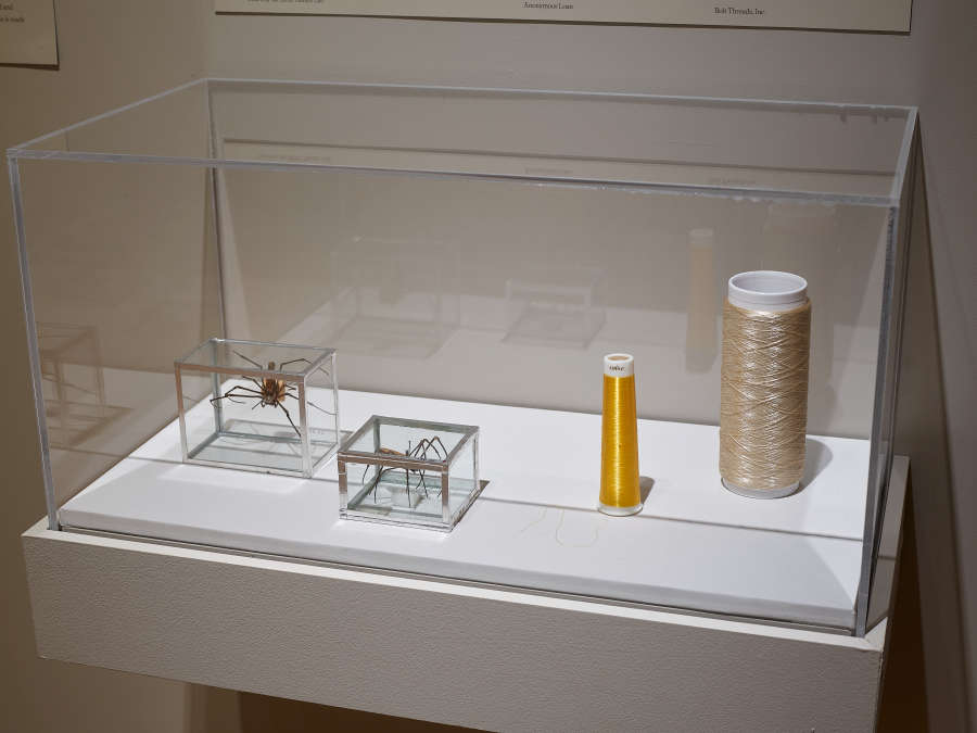 view exhibition image