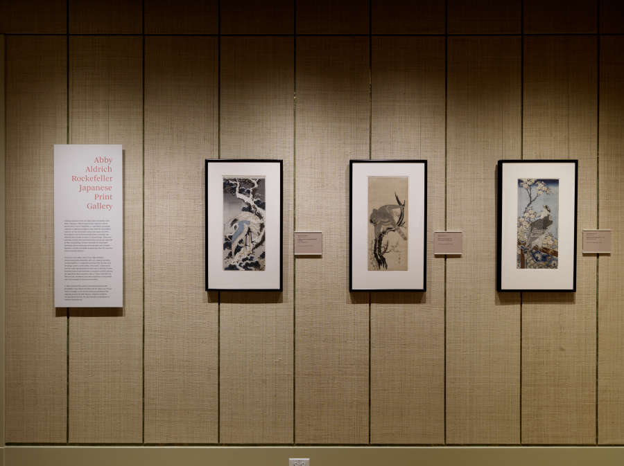 view exhibition image