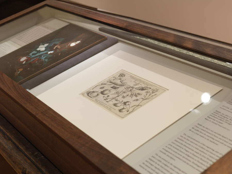 view exhibition image