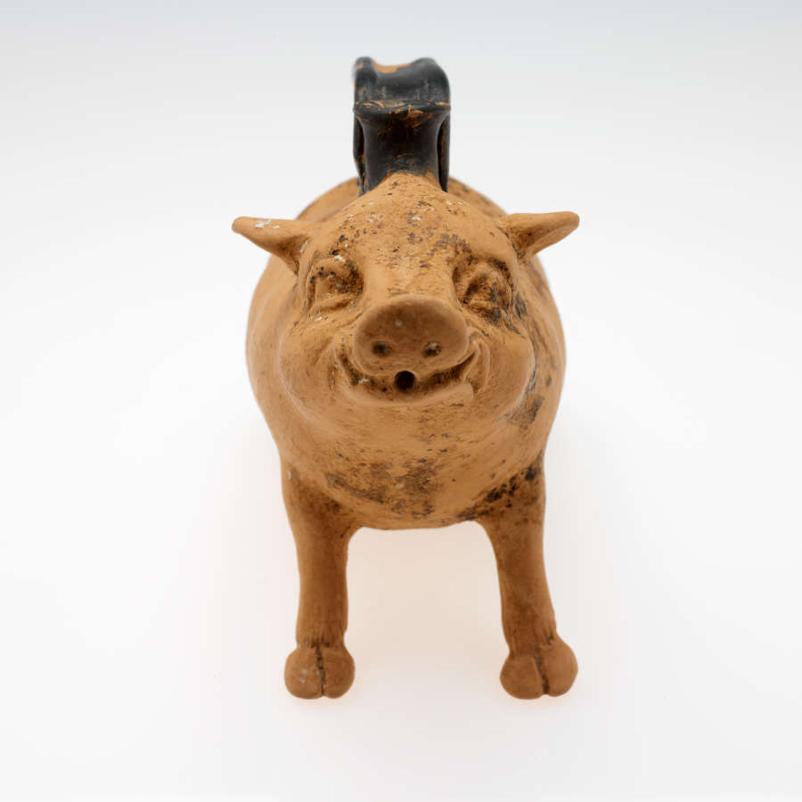 Front view of a terracotta container in the form of a sitting boar with a spouthole in its smile. its eyes are crooked and worn. It has a black handle.