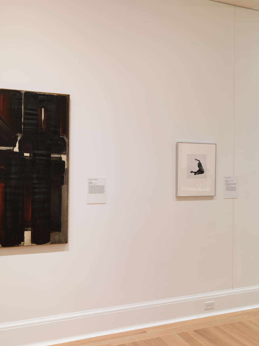 view exhibition image