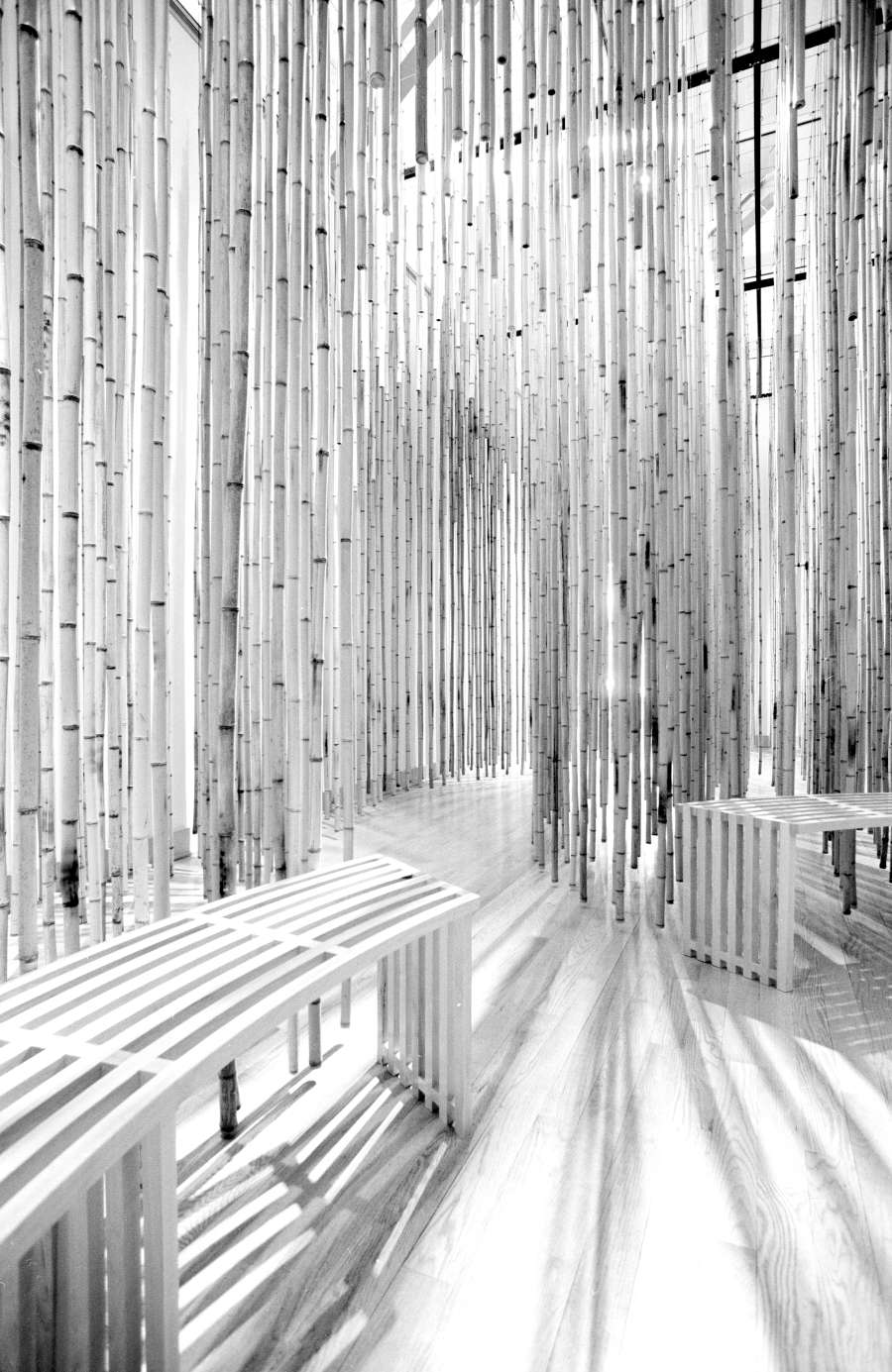 view exhibition image