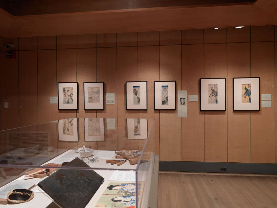 view exhibition image