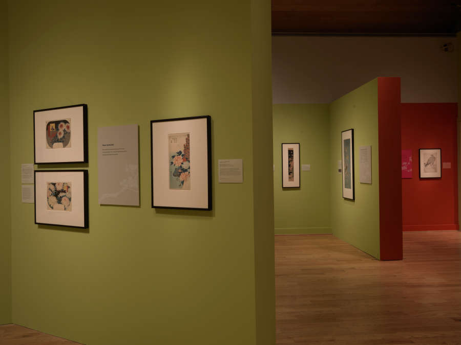 view exhibition image