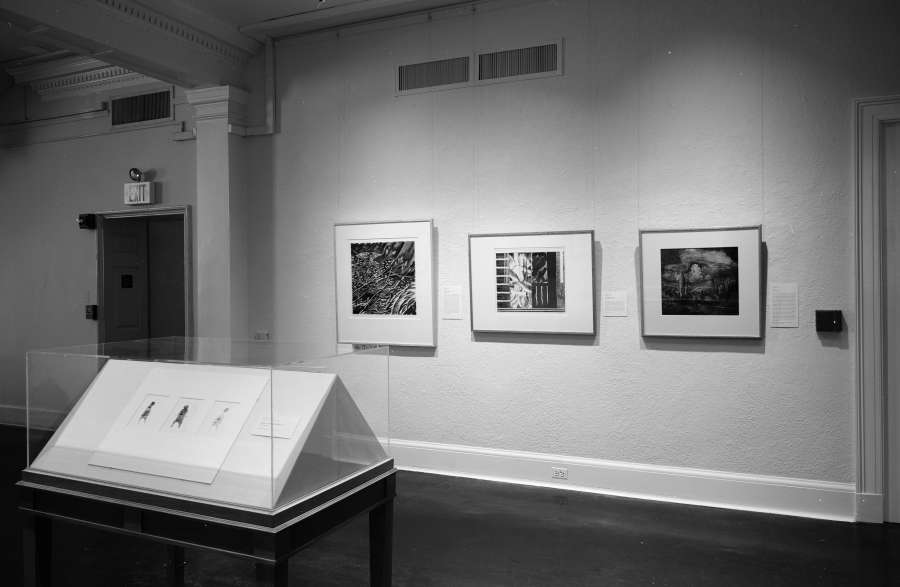 view exhibition image