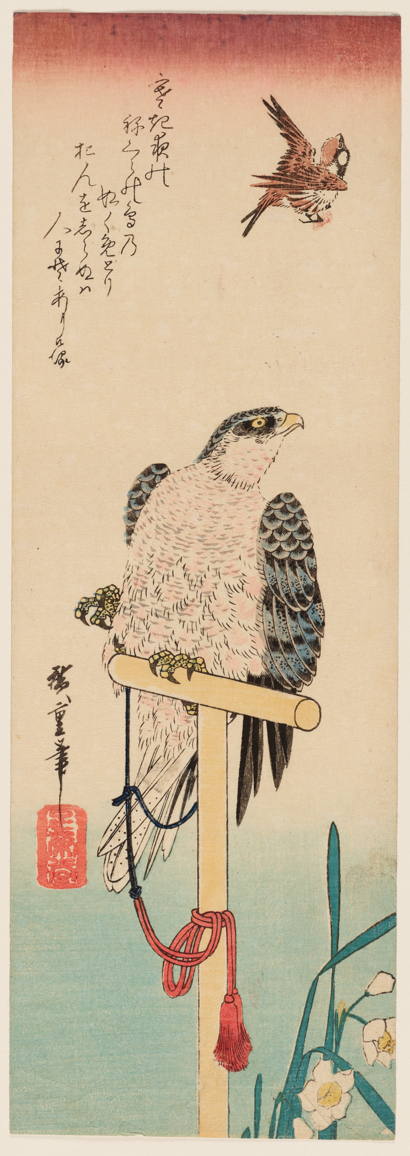 A hawk with gray and black wings is tied to a wooden stand on which it sits above a green stem with white flowers, looking up at a brown bird. 