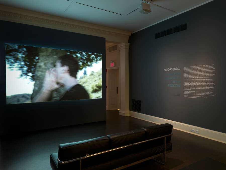 view exhibition image