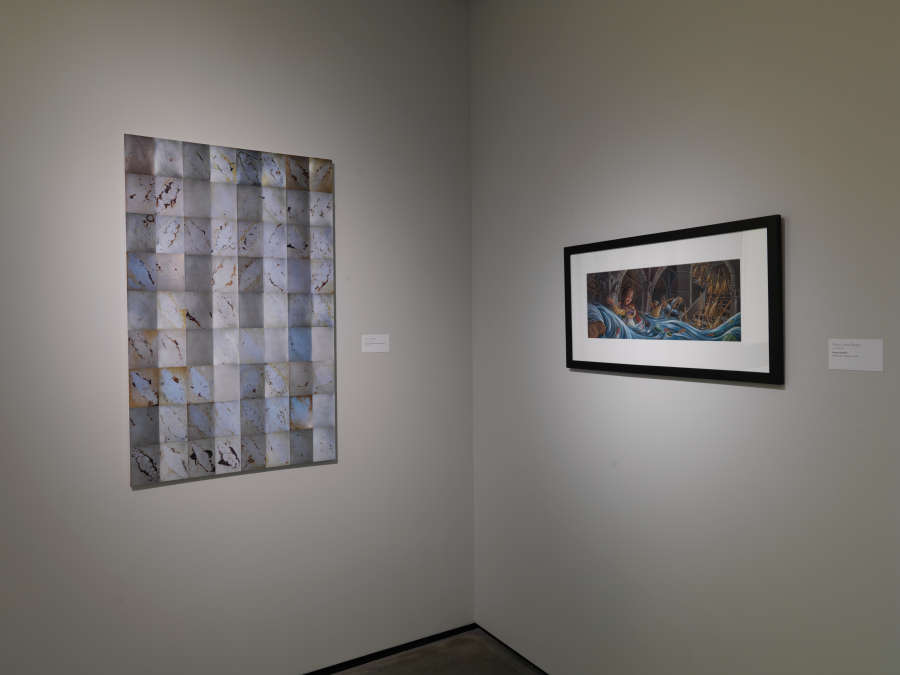 view exhibition image