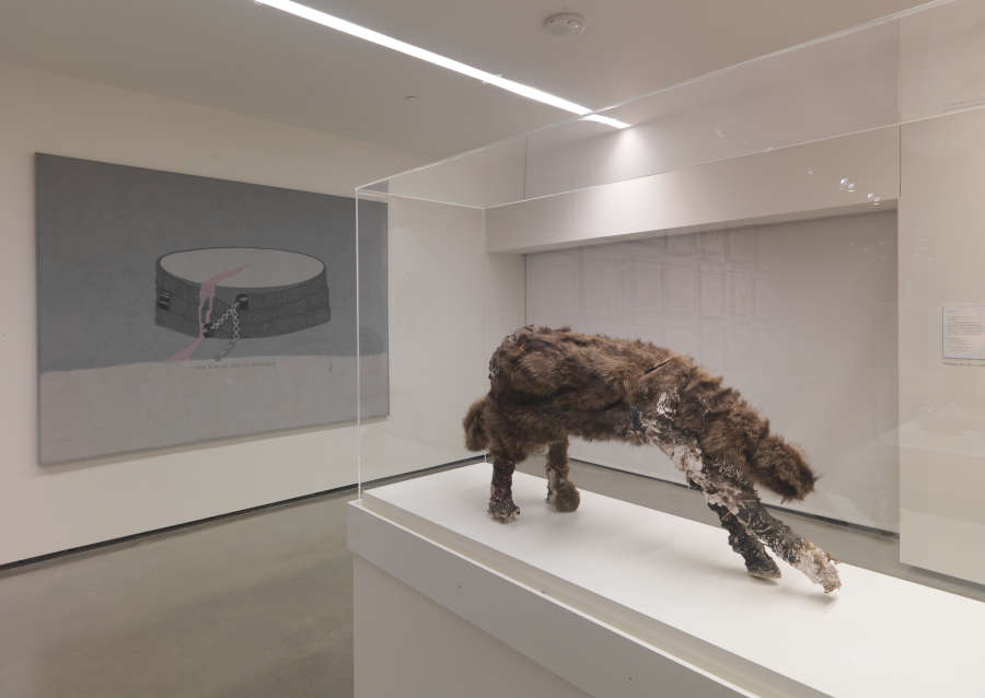 view exhibition image