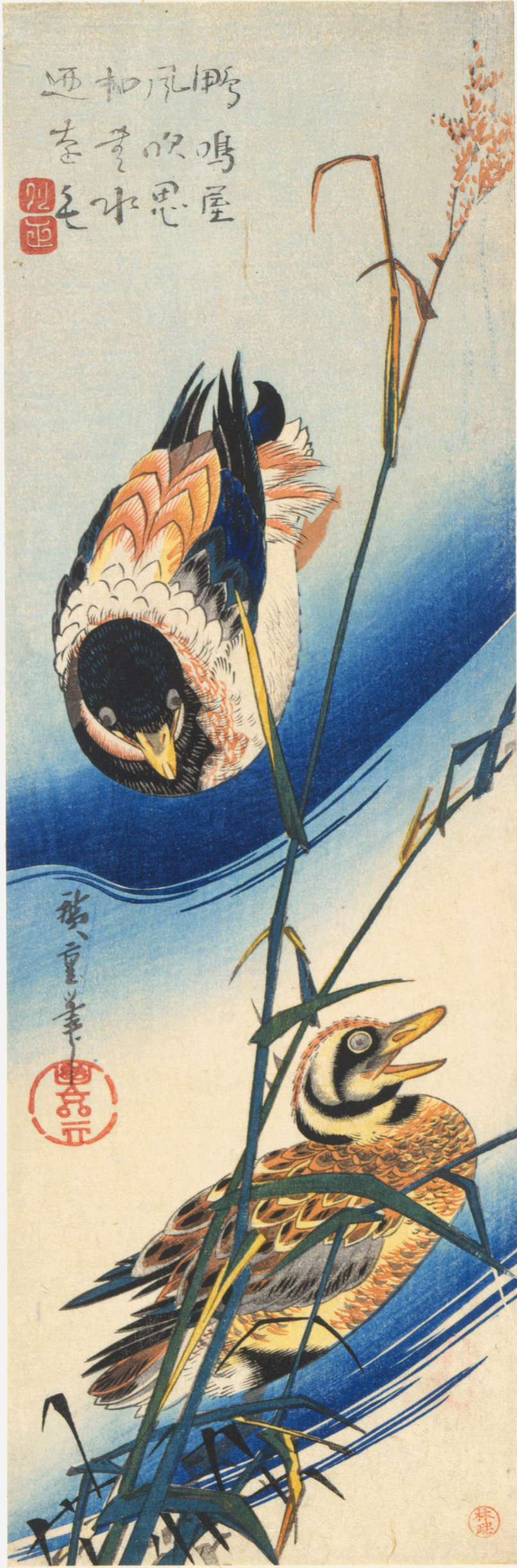 Two colorful ducks mid-movement in water with deep blue curves surrounded by slender grass. Framed by calligraphy, next to which are distinct red artists stamps.