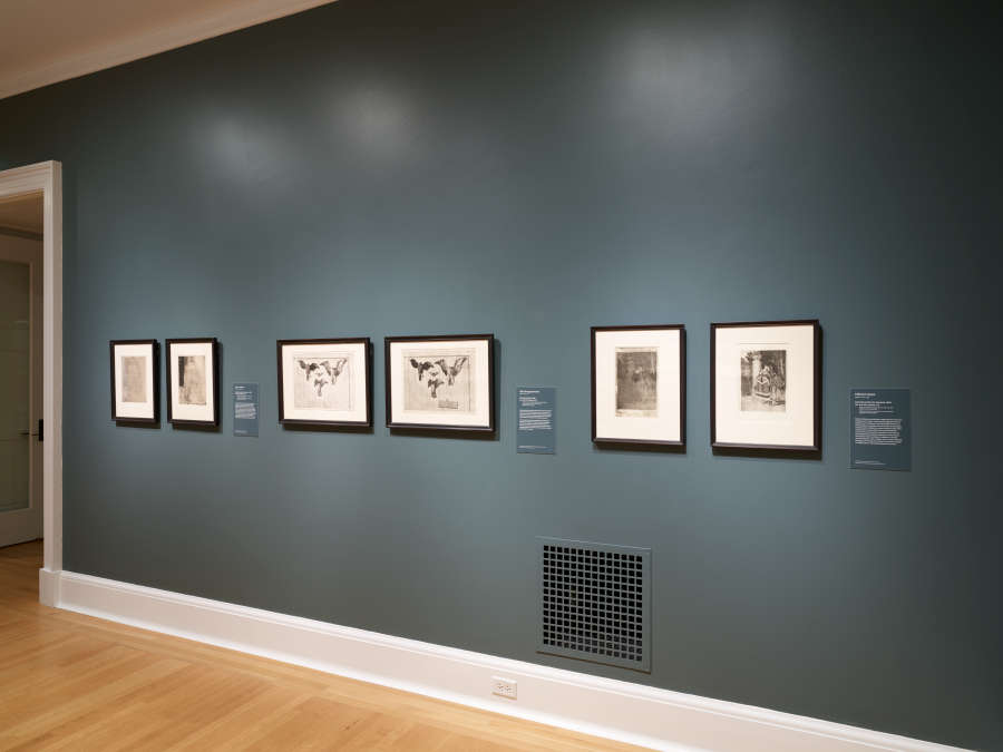 view exhibition image