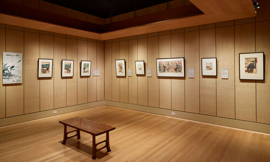 view exhibition image