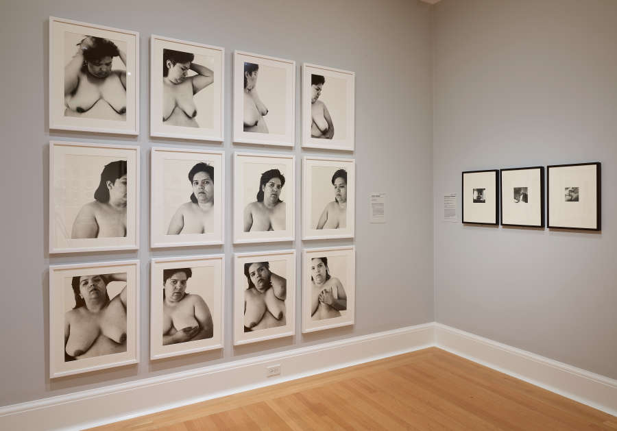 view exhibition image