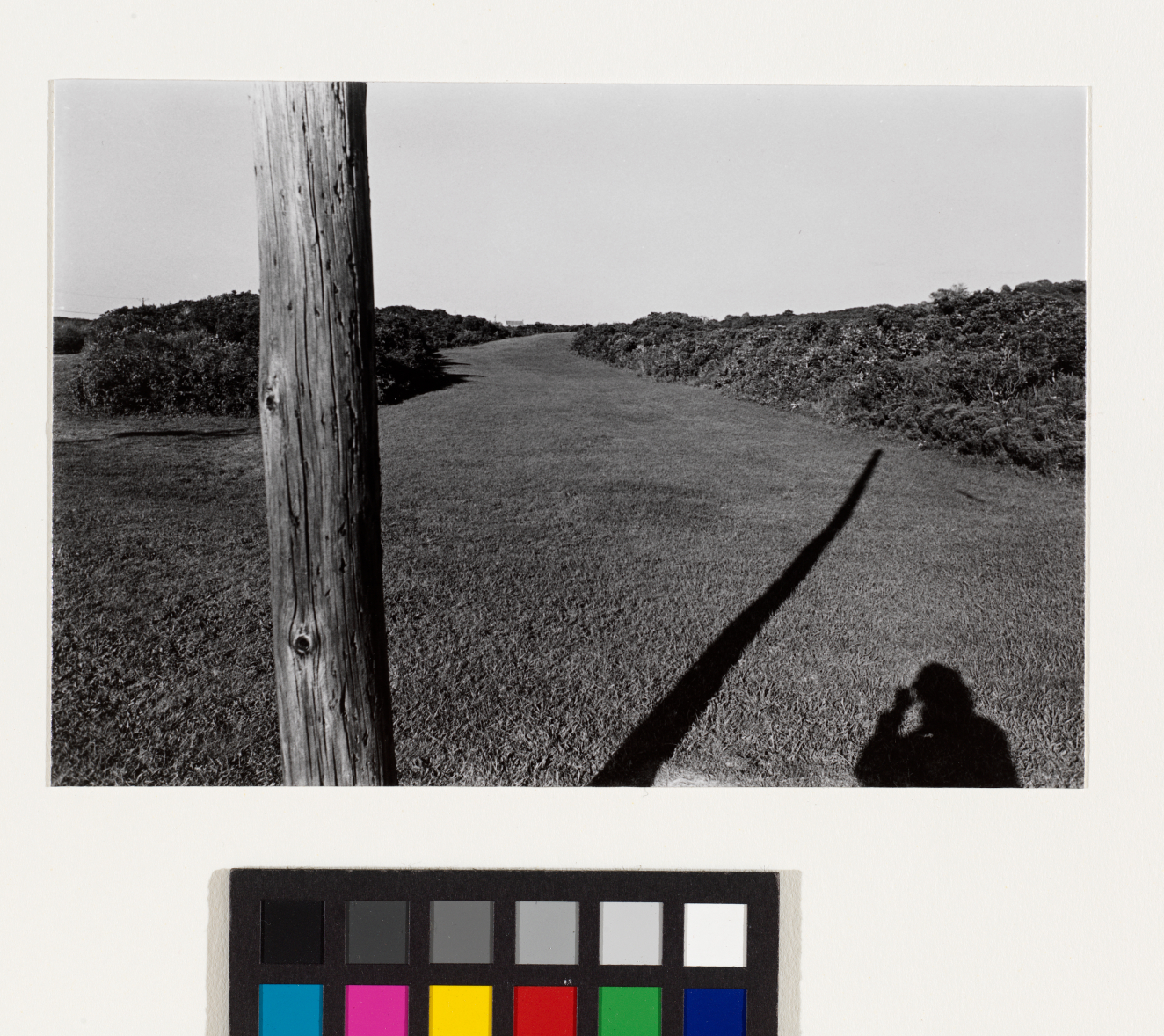 Photographs:Rhode Island School of Design.Twenty-three