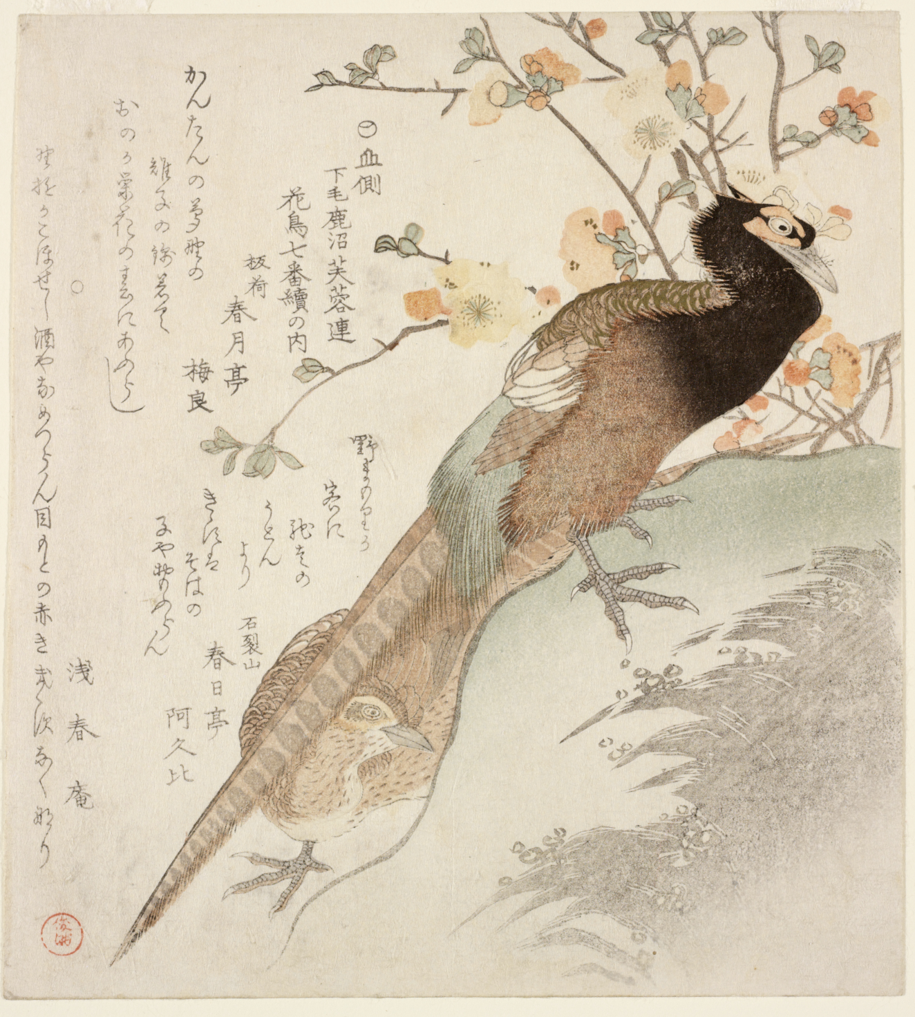 A pheasant with long tail feathers standing on a grassy slope in front of a shrub with pale orange blossoms, accented by calligraphy inscriptions that fill the off-white background.