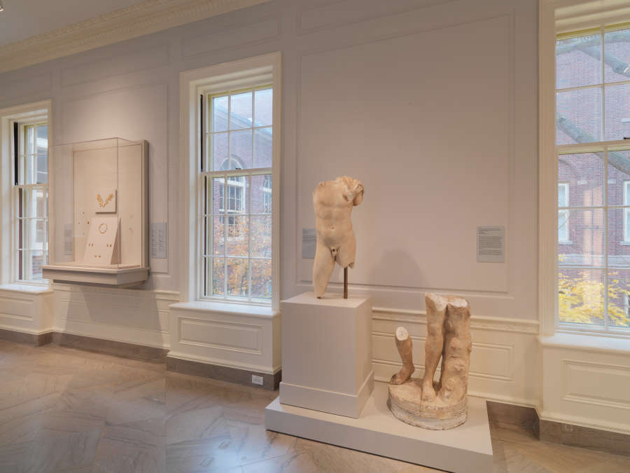 view exhibition image