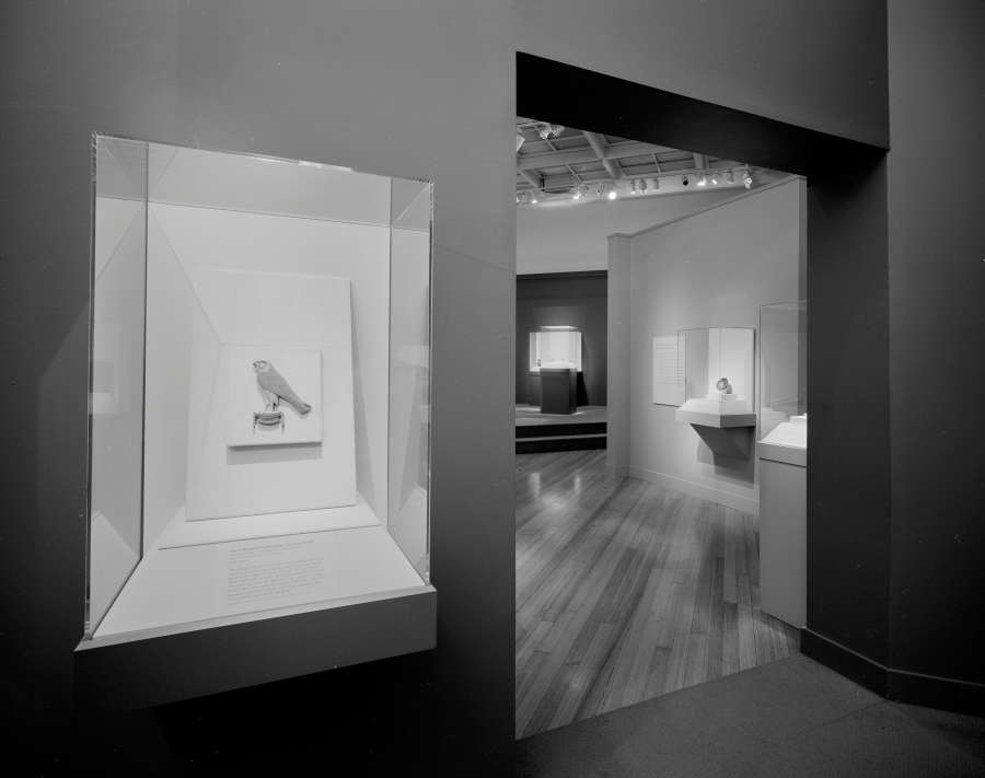 view exhibition image