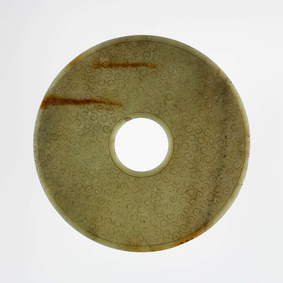 Circular object with a hole in the middle. The object has a highly textured surface, which appears as vein-like black dots against grays, browns, and greens. 