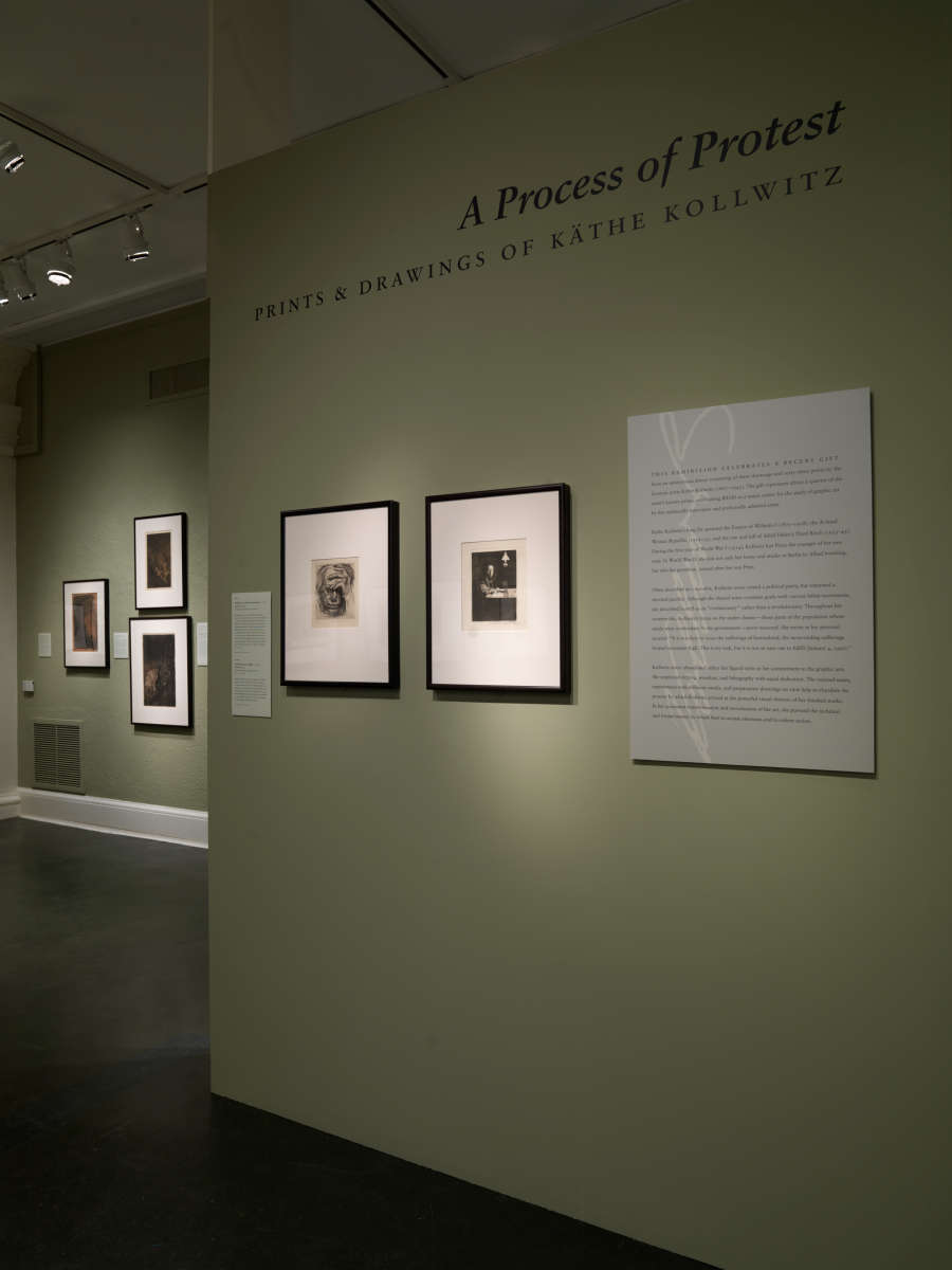 view exhibition image