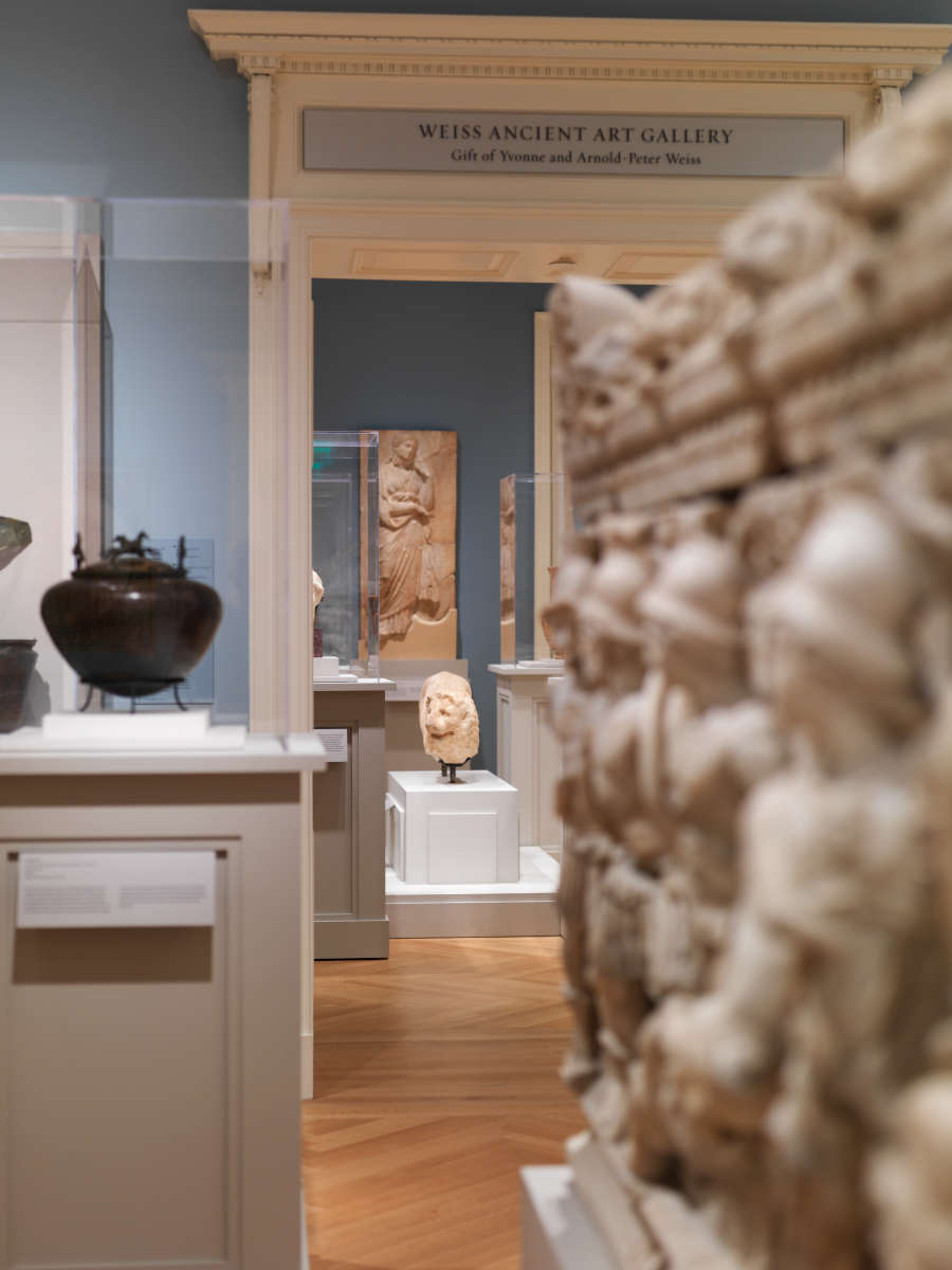 view exhibition image