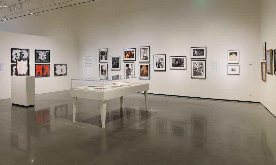 view exhibition image