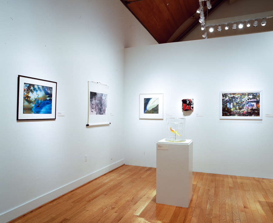 view exhibition image