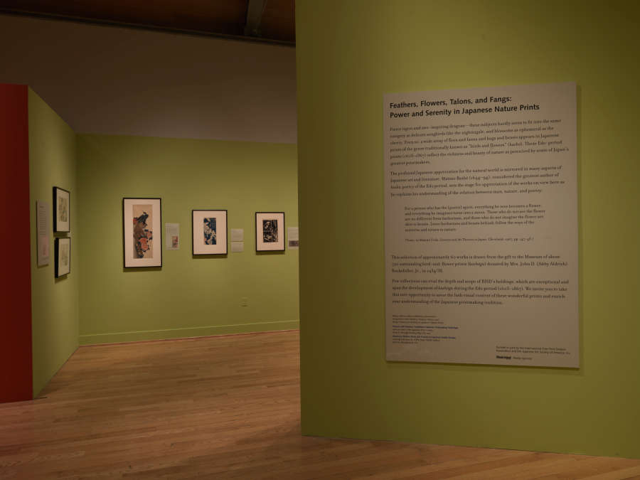 view exhibition image