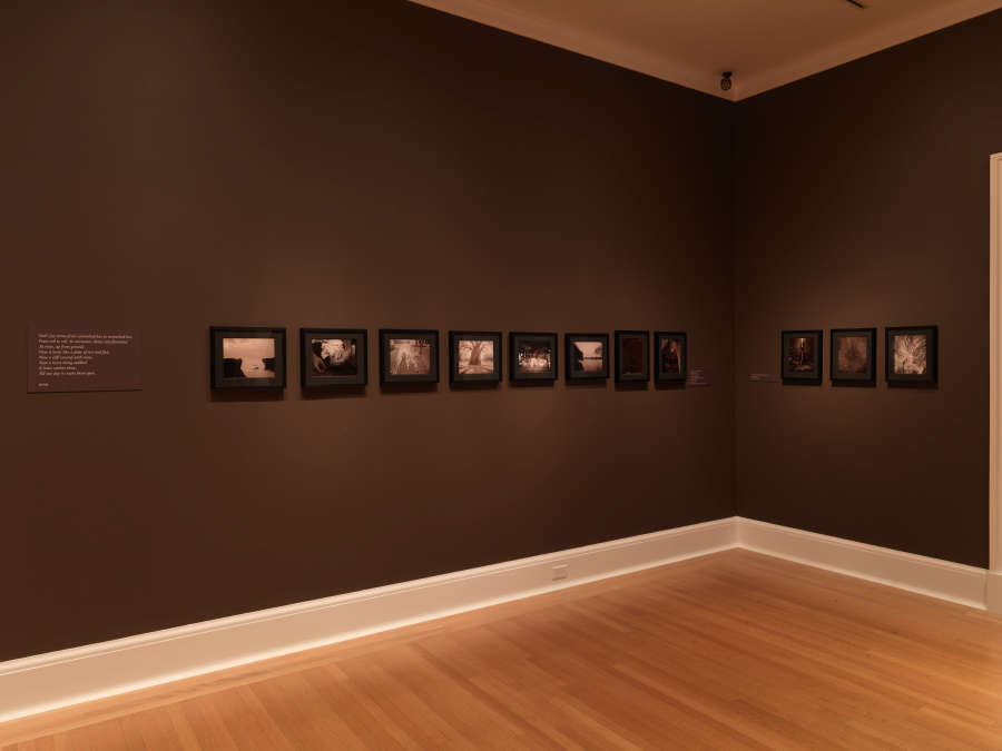 view exhibition image