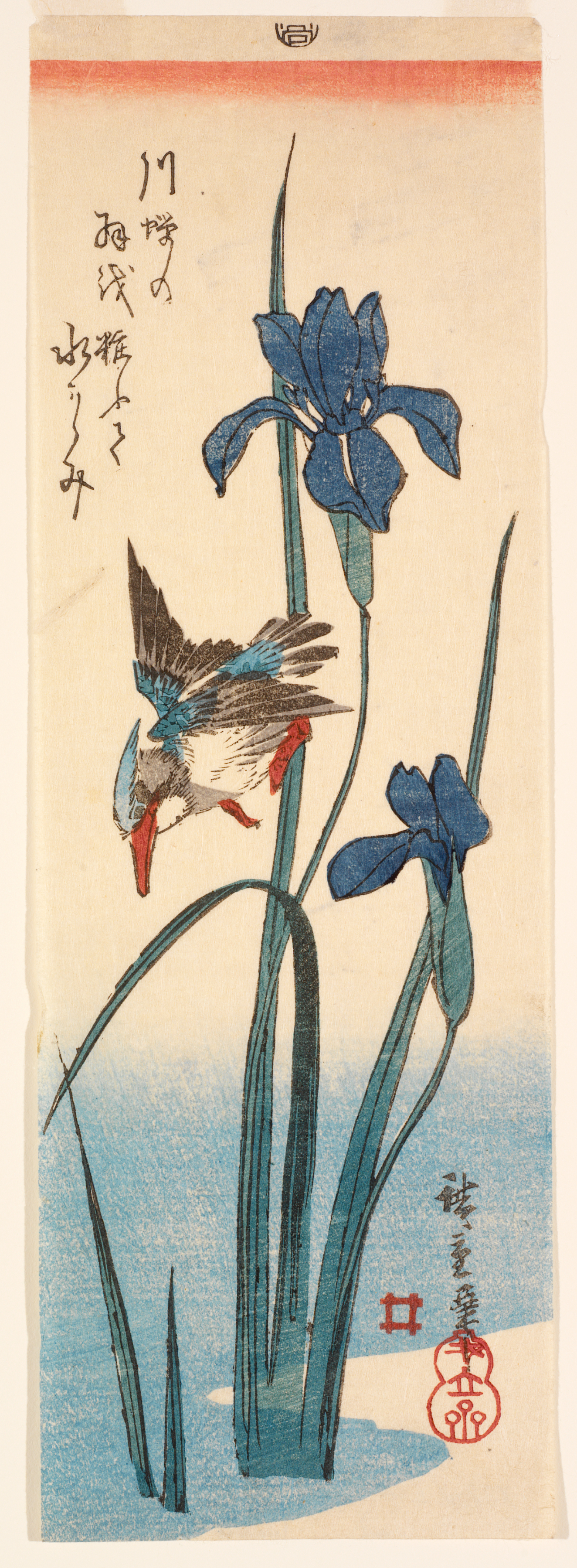 ROMANTIK 洋書 アート Kingfisher and Hibiscus | RISD Museum