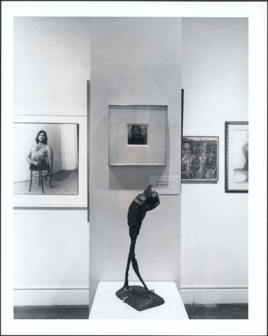 view exhibition image