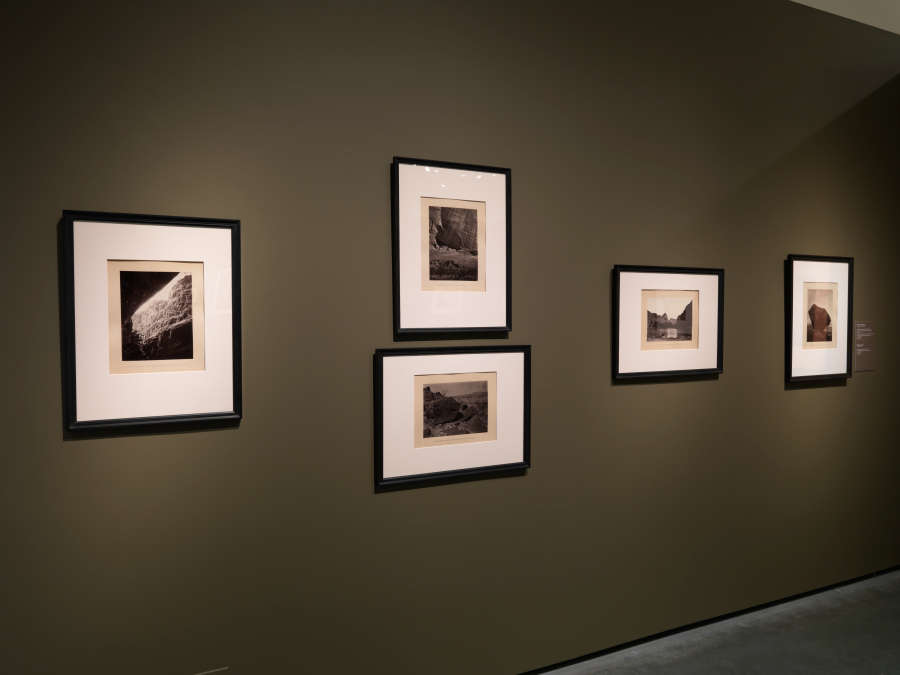 view exhibition image