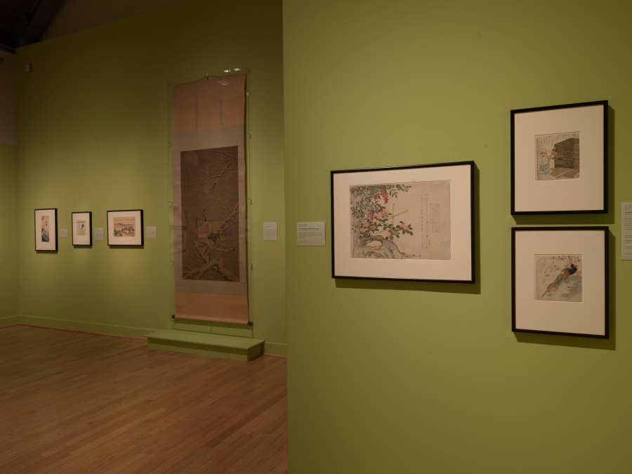 view exhibition image
