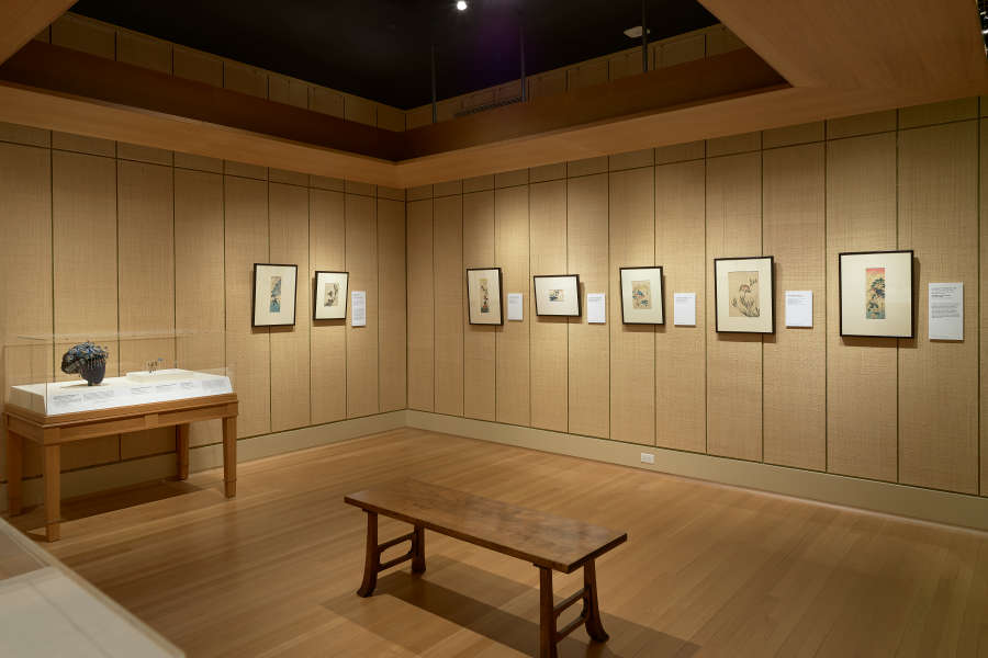 view exhibition image