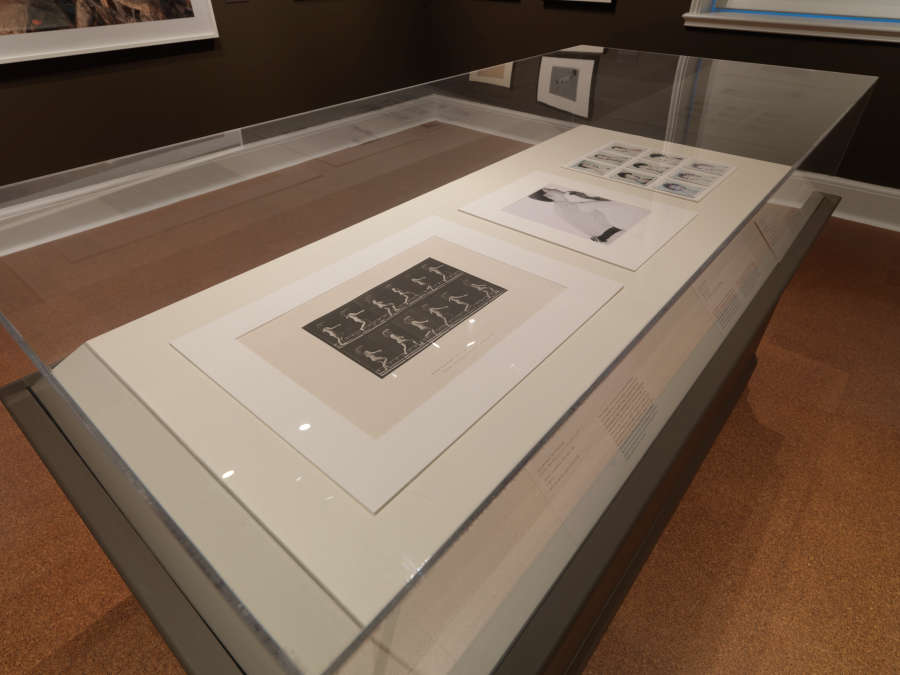view exhibition image
