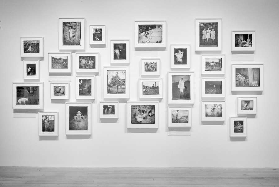 view exhibition image