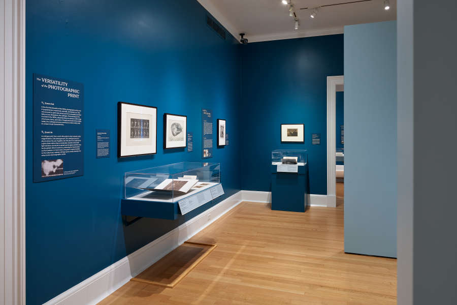 view exhibition image