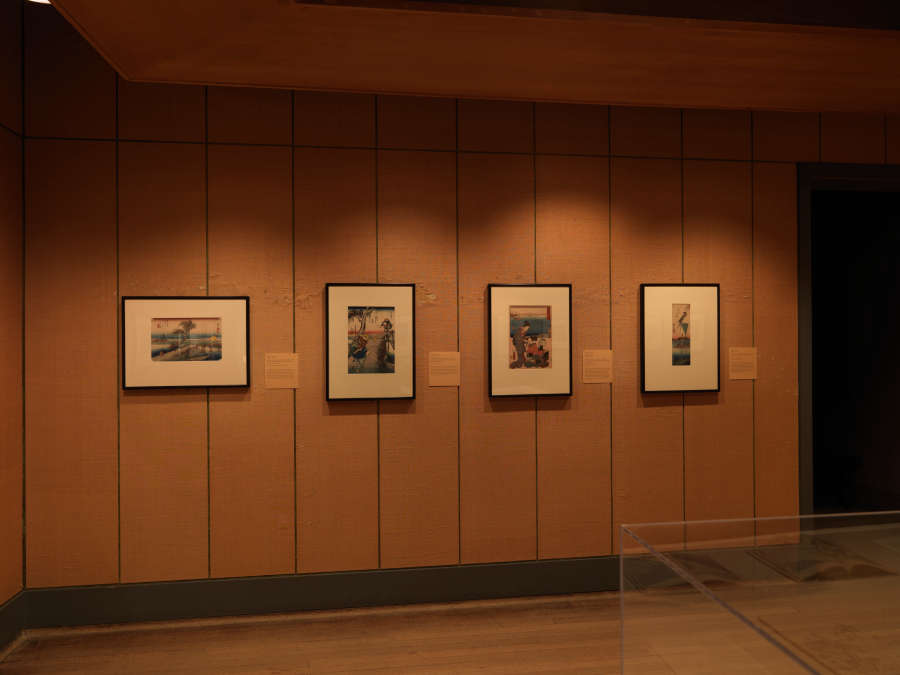 view exhibition image