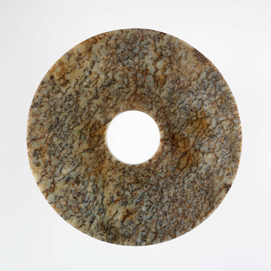 Circular object with a hole in the middle. The object has a highly textured surface, which appears as vein-like black dots against grays, browns, and greens.