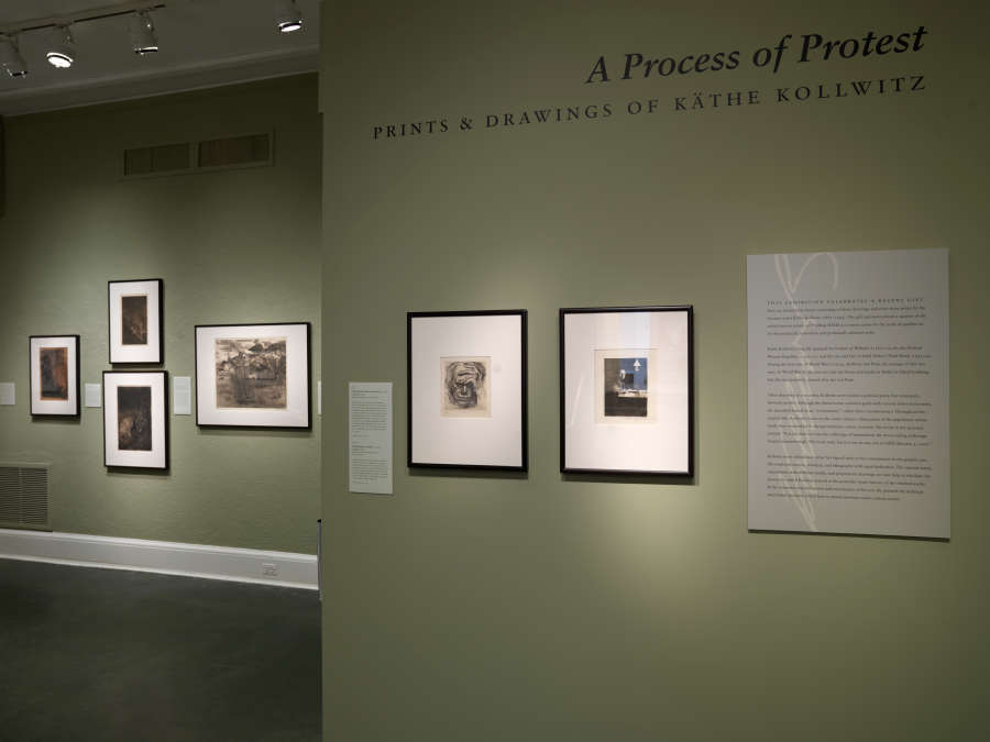 view exhibition image