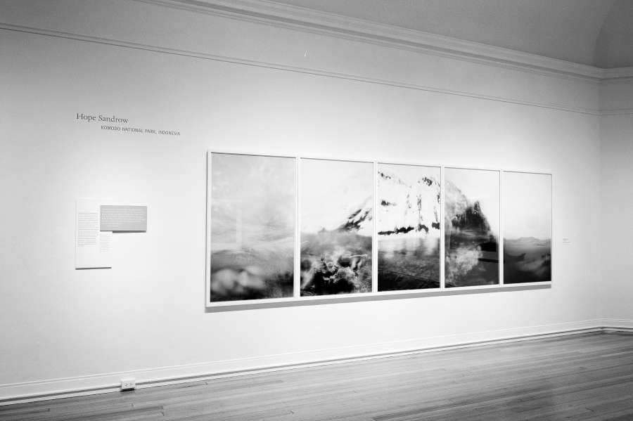 view exhibition image
